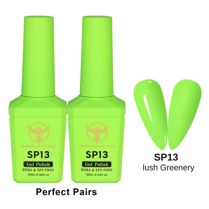 [PRE-ORDER] Phoenix Spring Gel Collection 24 Colors - Free Extra 24 Gels + 1 Color Book + Vali - FREE Mica Holder Rack - LIMITED TIME ONLY