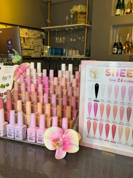 [PRE-ORDER] Phoenix Spring Gel Collection 24 Colors - Free Extra 24 Gels + 1 Color Book + Vali - FREE Mica Holder Rack - LIMITED TIME ONLY
